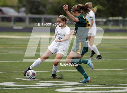 Thumbnail 1 in Fremd vs. Stevenson (IHSA 3A Regional Playoff) photogallery.