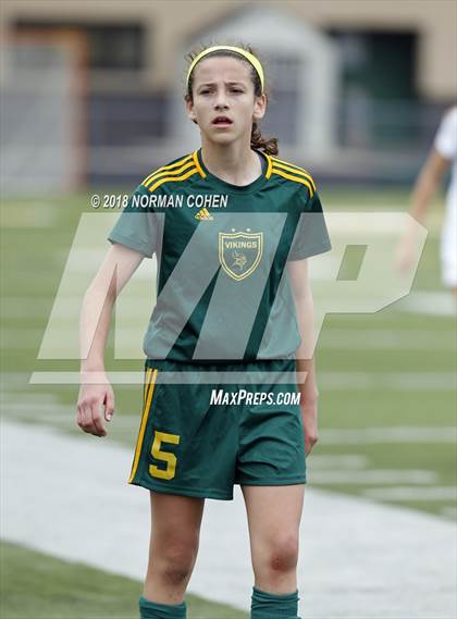 Thumbnail 3 in Fremd vs. Stevenson (IHSA 3A Regional Playoff) photogallery.