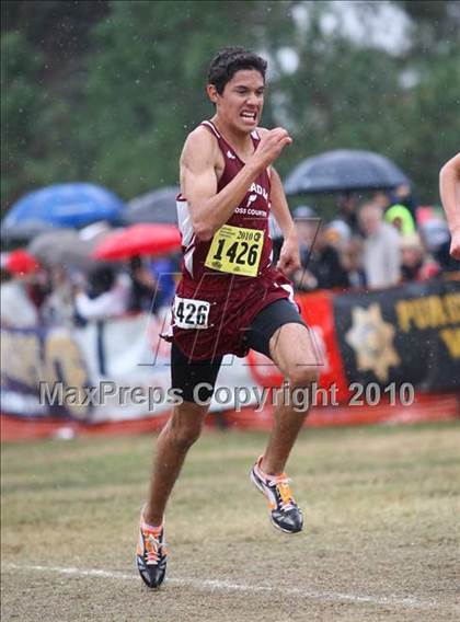 Thumbnail 1 in CIF State Cross Country Championships (D1 Boys) photogallery.