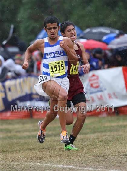 Thumbnail 2 in CIF State Cross Country Championships (D1 Boys) photogallery.