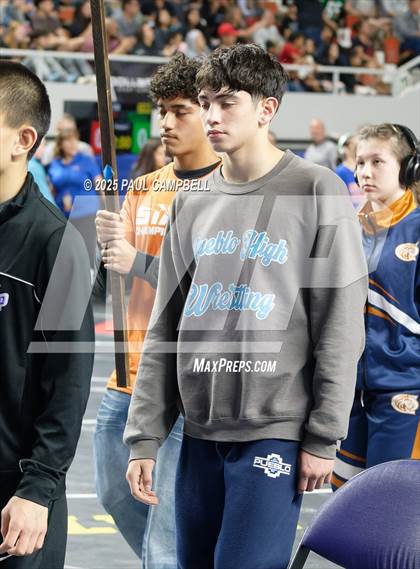 Thumbnail 3 in AIA State Parade of Champions (Div 1-4) photogallery.
