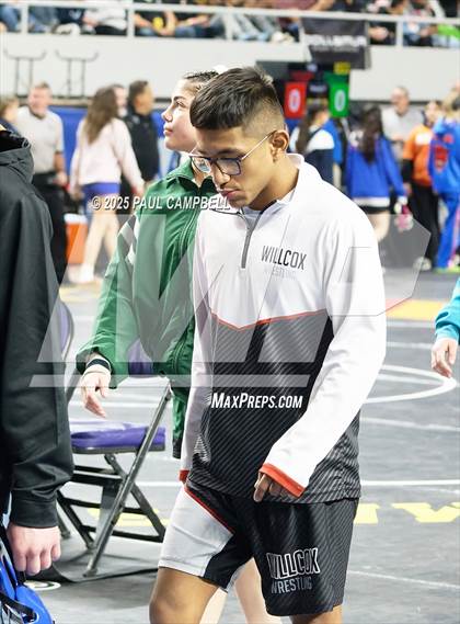 Thumbnail 3 in AIA State Parade of Champions (Div 1-4) photogallery.