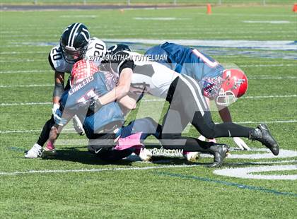 Thumbnail 3 in Pueblo South @ Liberty (District 20 Stadium) photogallery.
