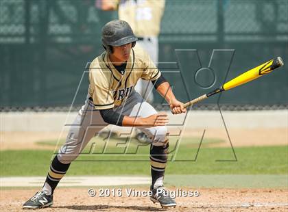 Thumbnail 2 in Citrus Valley @ Cathedral photogallery.