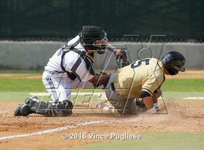 Thumbnail 1 in Citrus Valley @ Cathedral photogallery.