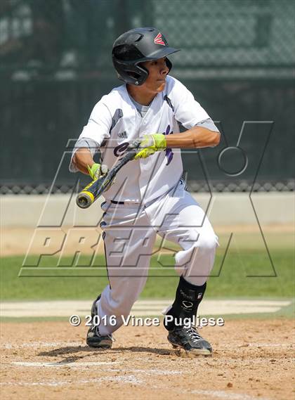 Thumbnail 3 in Citrus Valley @ Cathedral photogallery.
