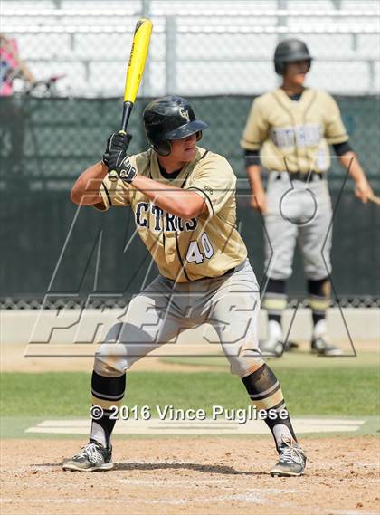 Thumbnail 3 in Citrus Valley @ Cathedral photogallery.