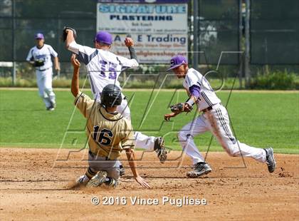 Thumbnail 2 in Citrus Valley @ Cathedral photogallery.