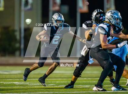 Thumbnail 1 in Harlan @ Sotomayor photogallery.