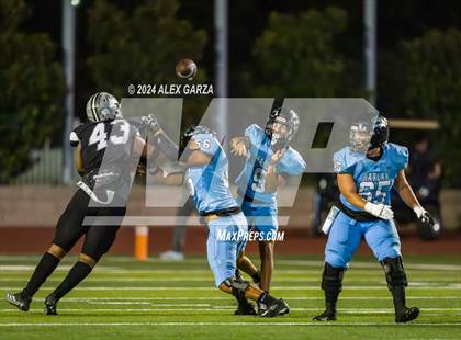 Thumbnail 3 in Harlan @ Sotomayor photogallery.