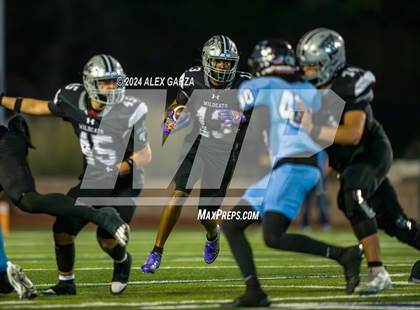 Thumbnail 2 in Harlan @ Sotomayor photogallery.