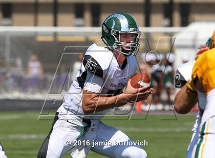 Thumbnail 2 in Pine-Richland @ St. Edward photogallery.