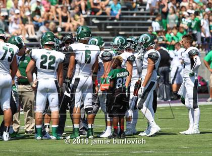 Thumbnail 1 in Pine-Richland @ St. Edward photogallery.