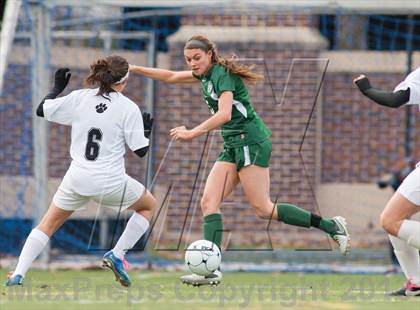 Thumbnail 2 in Bridgewater-Raritan vs Montgomery (NJSIAA Group 4 Final) photogallery.