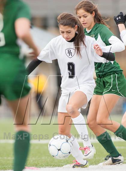 Thumbnail 1 in Bridgewater-Raritan vs Montgomery (NJSIAA Group 4 Final) photogallery.