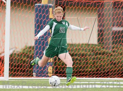Thumbnail 1 in Bridgewater-Raritan vs Montgomery (NJSIAA Group 4 Final) photogallery.