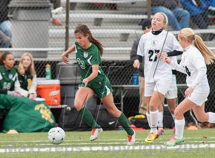 Thumbnail 2 in Bridgewater-Raritan vs Montgomery (NJSIAA Group 4 Final) photogallery.