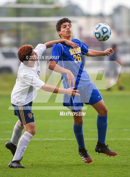 Thumbnail 3 in Klein Collins @ Klein photogallery.