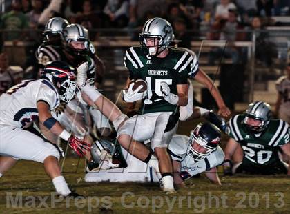 Thumbnail 1 in South-Doyle @ Carter photogallery.