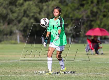 Thumbnail 3 in Copper Hills @ Cottonwood photogallery.