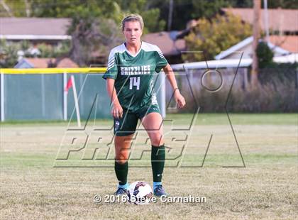 Thumbnail 1 in Copper Hills @ Cottonwood photogallery.