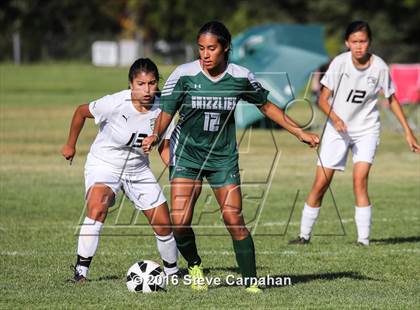 Thumbnail 3 in Copper Hills @ Cottonwood photogallery.