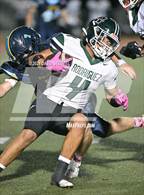 Photo from the gallery "Rodriguez @ River City"