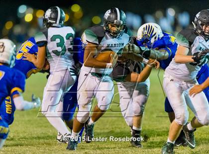 Thumbnail 2 in Odem @ Marion photogallery.