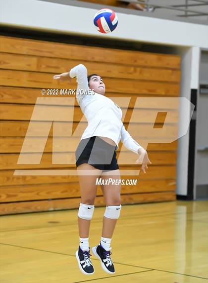 Thumbnail 2 in Northwest Christian vs. Sierra Linda (Goldwater Volleyball Festival Tournament) photogallery.