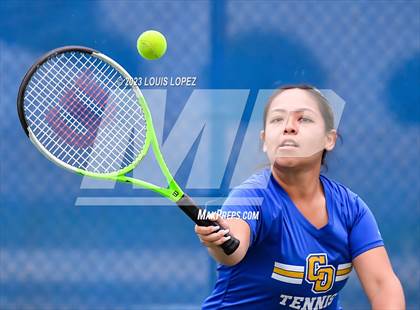 Thumbnail 2 in Charter Oak (Varsity Showcase) photogallery.