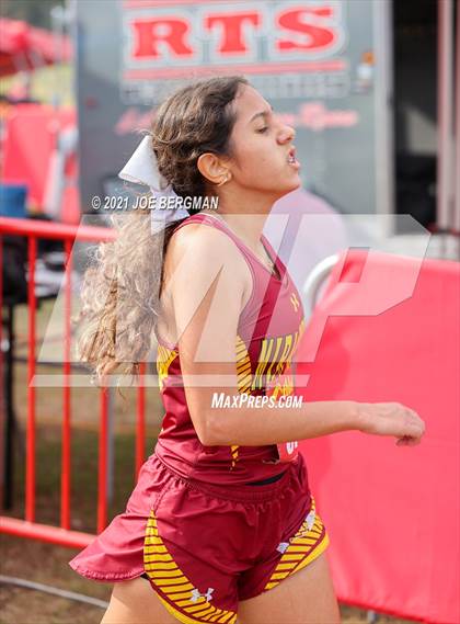 Thumbnail 3 in CIF Central Section Cross Country Championships (Girls D4 Race) photogallery.