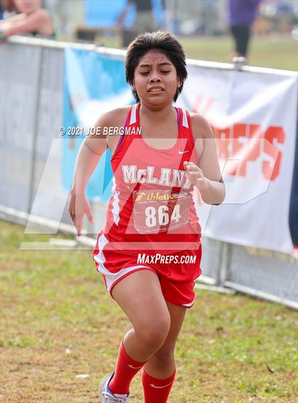 Thumbnail 2 in CIF Central Section Cross Country Championships (Girls D4 Race) photogallery.
