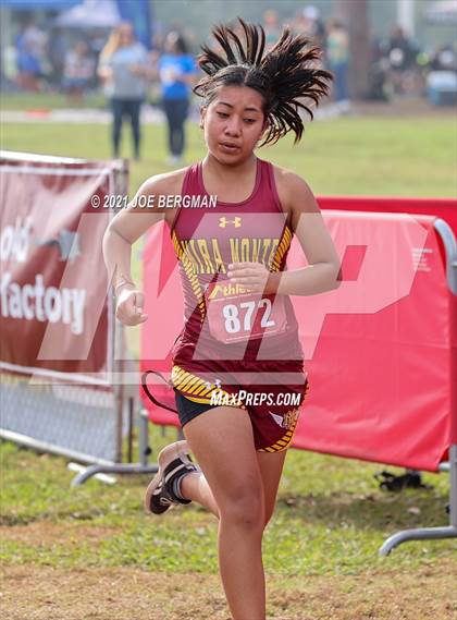 Thumbnail 3 in CIF Central Section Cross Country Championships (Girls D4 Race) photogallery.