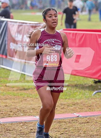 Thumbnail 1 in CIF Central Section Cross Country Championships (Girls D4 Race) photogallery.