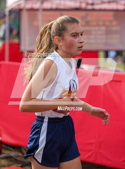 Thumbnail 1 in CIF Central Section Cross Country Championships (Girls D4 Race) photogallery.