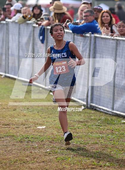 Thumbnail 1 in CIF Central Section Cross Country Championships (Girls D4 Race) photogallery.