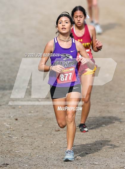 Thumbnail 3 in CIF Central Section Cross Country Championships (Girls D4 Race) photogallery.