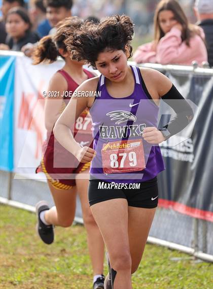 Thumbnail 3 in CIF Central Section Cross Country Championships (Girls D4 Race) photogallery.