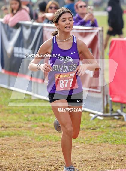 Thumbnail 1 in CIF Central Section Cross Country Championships (Girls D4 Race) photogallery.