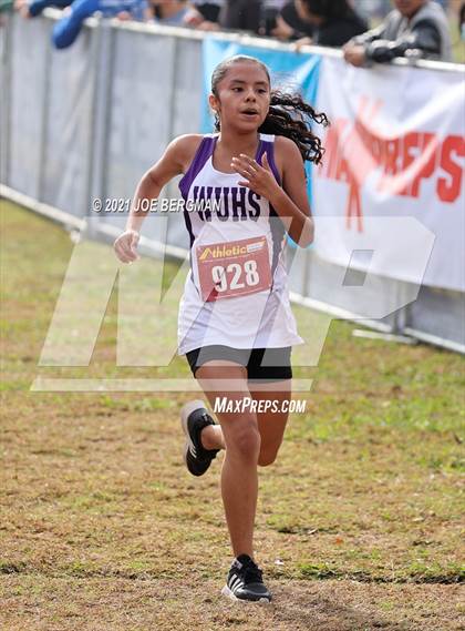 Thumbnail 2 in CIF Central Section Cross Country Championships (Girls D4 Race) photogallery.