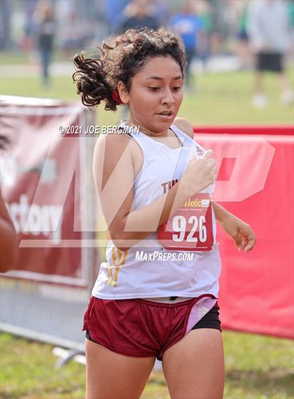 Thumbnail 2 in CIF Central Section Cross Country Championships (Girls D4 Race) photogallery.