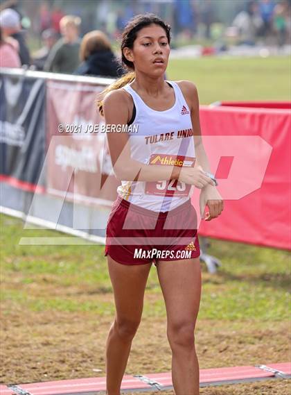 Thumbnail 2 in CIF Central Section Cross Country Championships (Girls D4 Race) photogallery.