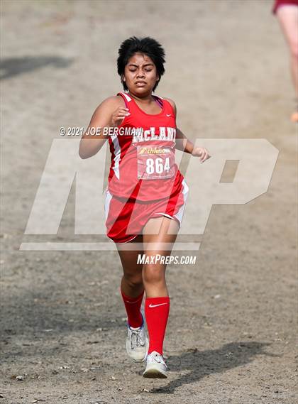 Thumbnail 2 in CIF Central Section Cross Country Championships (Girls D4 Race) photogallery.