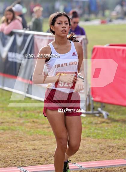 Thumbnail 1 in CIF Central Section Cross Country Championships (Girls D4 Race) photogallery.