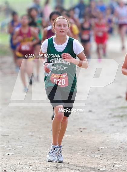 Thumbnail 1 in CIF Central Section Cross Country Championships (Girls D4 Race) photogallery.
