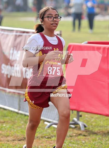 Thumbnail 1 in CIF Central Section Cross Country Championships (Girls D4 Race) photogallery.