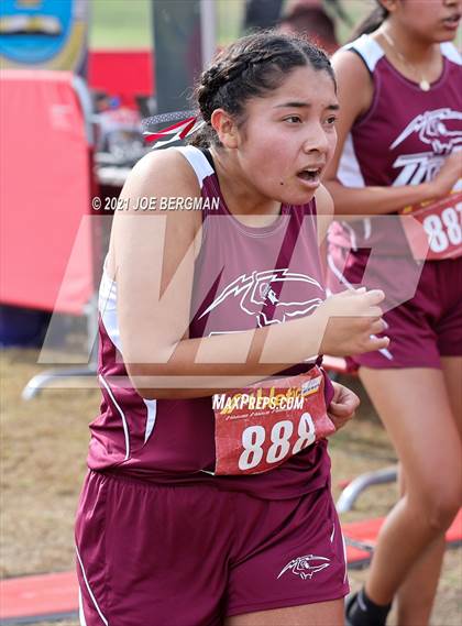 Thumbnail 2 in CIF Central Section Cross Country Championships (Girls D4 Race) photogallery.