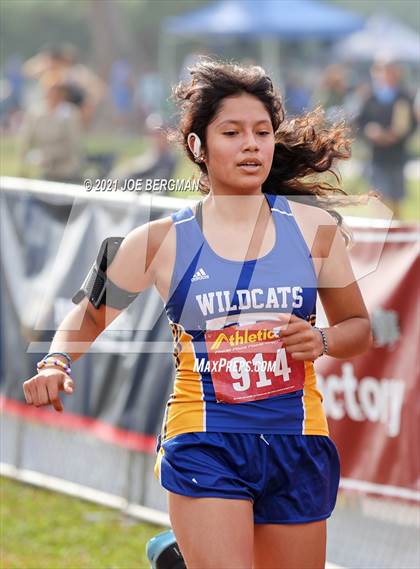 Thumbnail 3 in CIF Central Section Cross Country Championships (Girls D4 Race) photogallery.