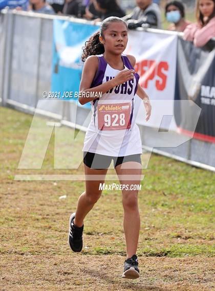 Thumbnail 3 in CIF Central Section Cross Country Championships (Girls D4 Race) photogallery.