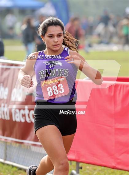 Thumbnail 1 in CIF Central Section Cross Country Championships (Girls D4 Race) photogallery.